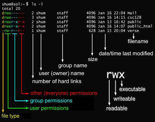 chmod01.jpg